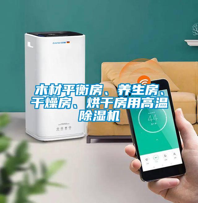 木材平衡房、養(yǎng)生房、干燥房、烘干房用高溫除濕機