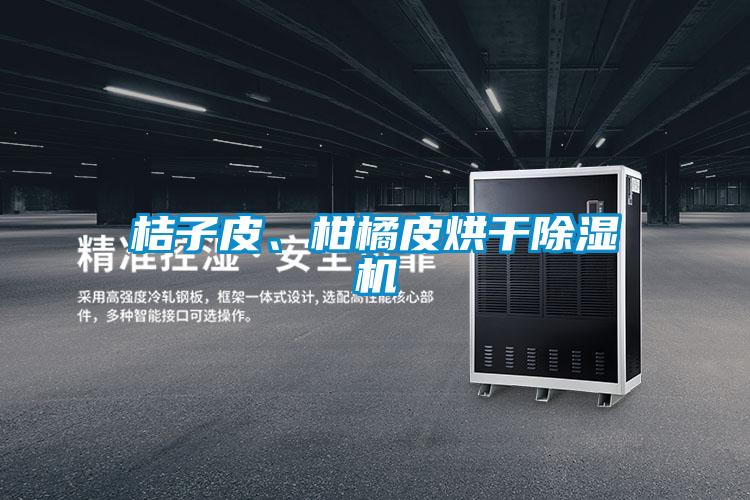 桔子皮、柑橘皮烘干除濕機(jī)