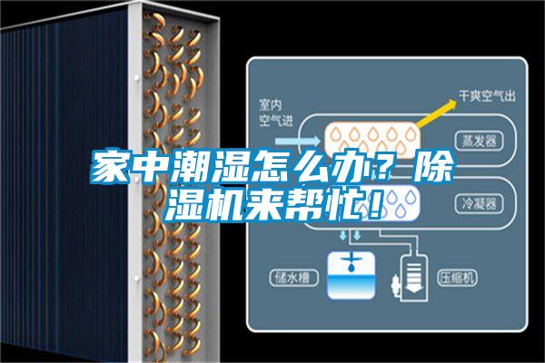家中潮濕怎么辦？除濕機來幫忙！