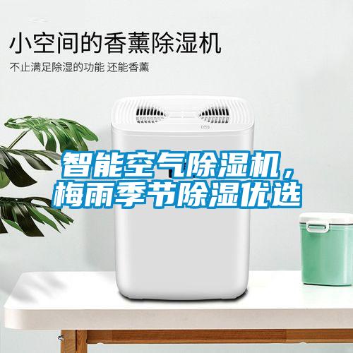 巴西菇、姬松茸烘干機(jī)-怎樣烘干色澤好且菇體褶片完整？