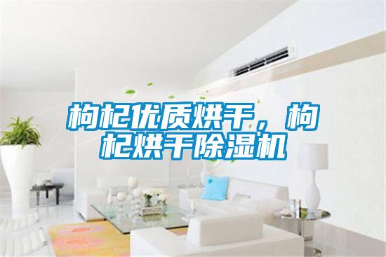 枸杞優(yōu)質(zhì)烘干，枸杞烘干除濕機(jī)