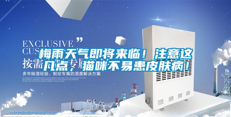 梅雨天氣即將來臨！注意這幾點，貓咪不易患皮膚?。?/></p>
						    <p style=