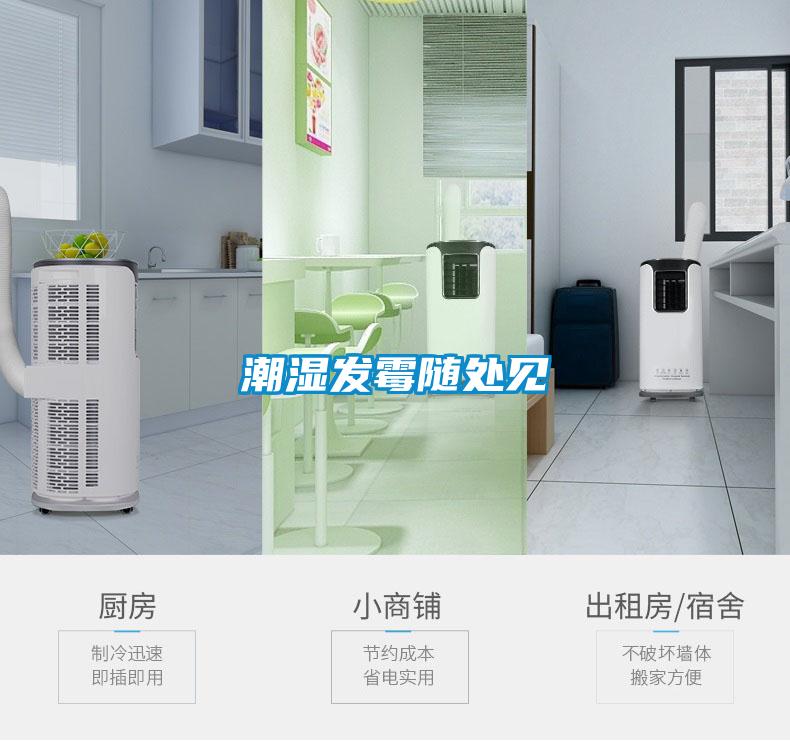 干貨倉庫怎么利用除濕機保持干爽？