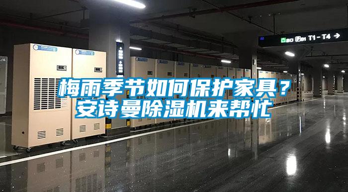 梅雨季節(jié)如何保護(hù)家具？安詩曼除濕機(jī)來幫忙
