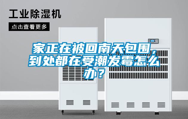 家正在被回南天包圍，到處都在受潮發(fā)霉怎么辦？