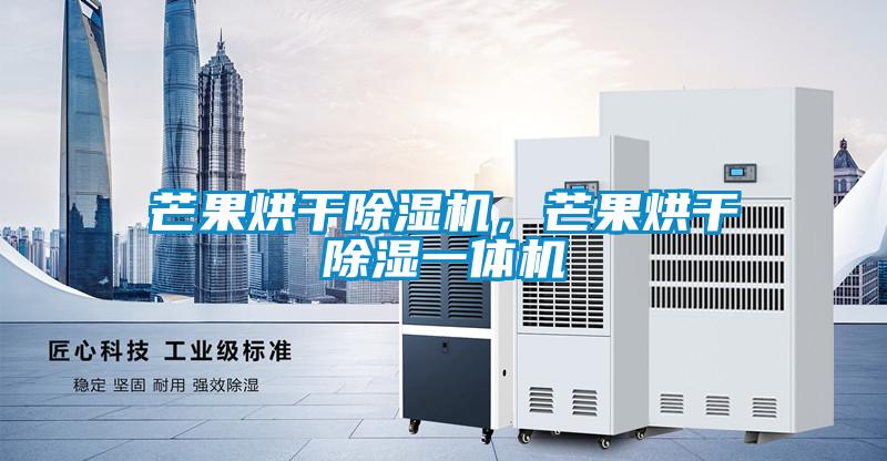 芒果烘干除濕機(jī)，芒果烘干除濕一體機(jī)