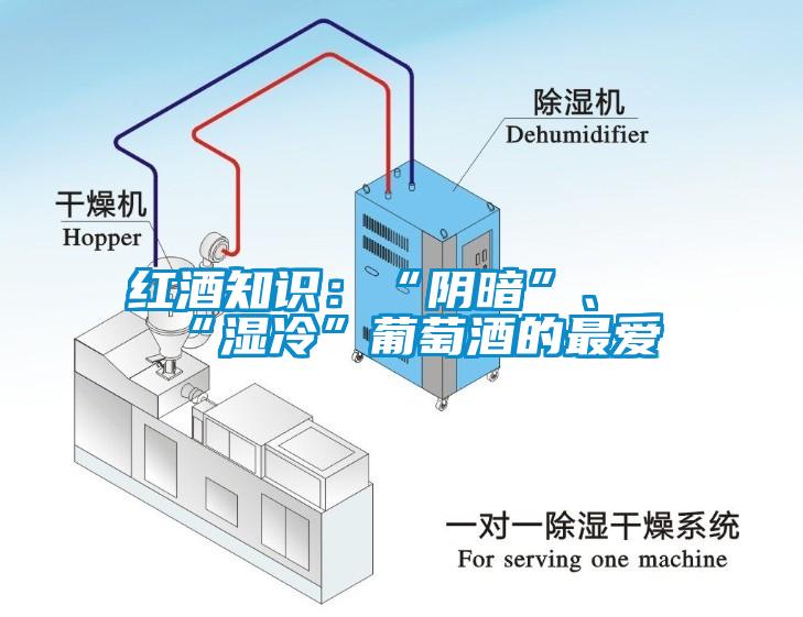 紅酒知識(shí)：“陰暗”、“濕冷”葡萄酒的最?lèi)?ài)