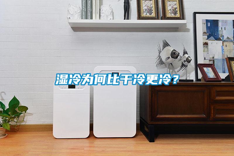 濕冷為何比干冷更冷？