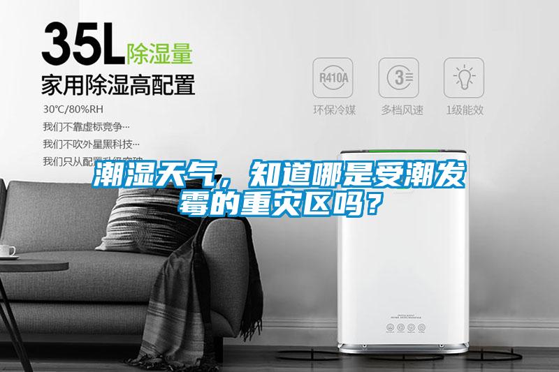 潮濕天氣，知道哪是受潮發(fā)霉的重災(zāi)區(qū)嗎？