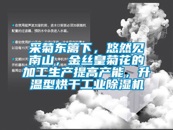 采菊東籬下，悠然見南山，金絲皇菊花的加工生產(chǎn)提高產(chǎn)能，升溫型烘干工業(yè)除濕機(jī)