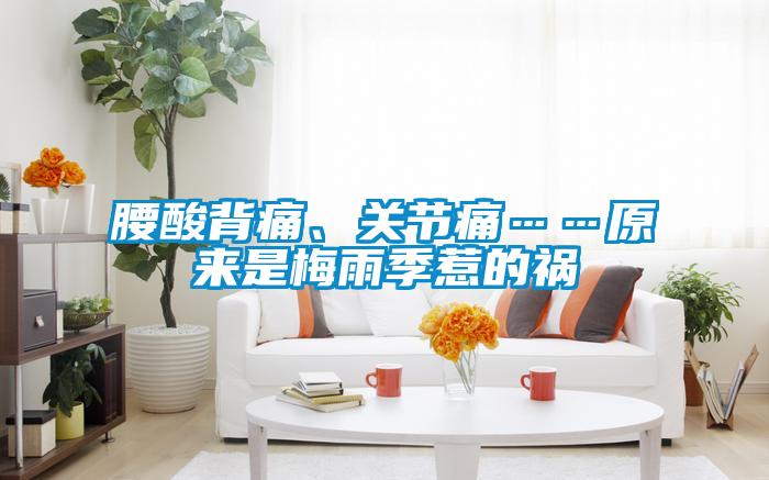 腰酸背痛、關(guān)節(jié)痛……原來是梅雨季惹的禍