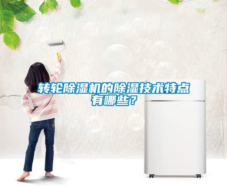 轉(zhuǎn)輪除濕機(jī)的除濕技術(shù)特點有哪些？