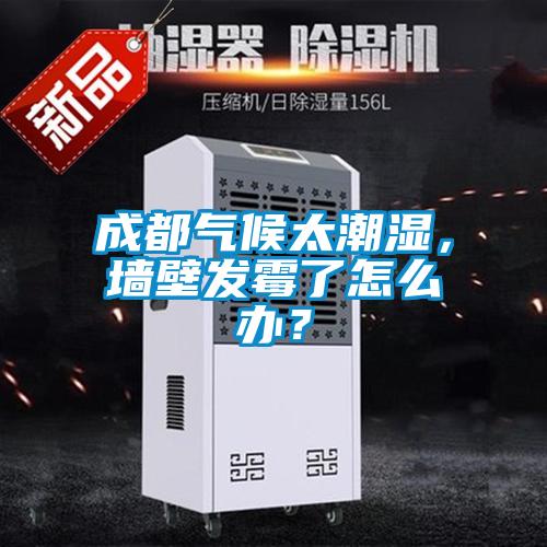 成都?xì)夂蛱睗?，墻壁發(fā)霉了怎么辦？