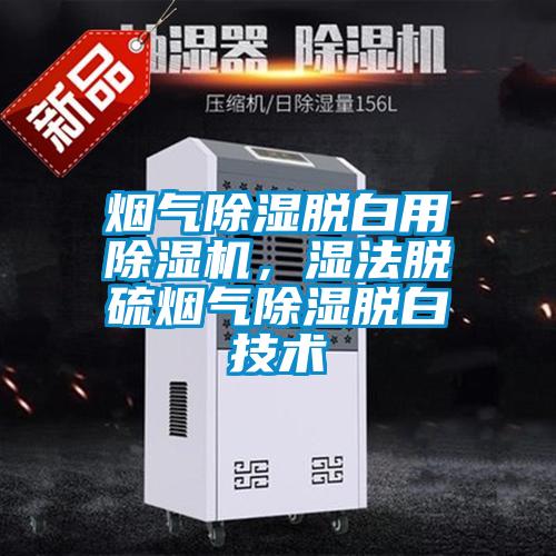 煙氣除濕脫白用除濕機(jī)，濕法脫硫煙氣除濕脫白技術(shù)