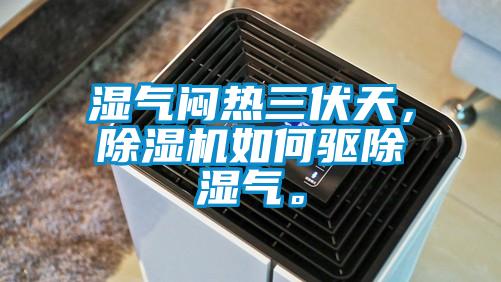 濕氣悶熱三伏天，除濕機如何驅(qū)除濕氣。