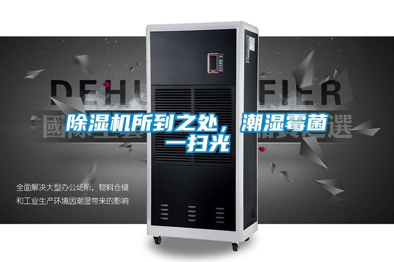除濕機(jī)所到之處，潮濕霉菌一掃光