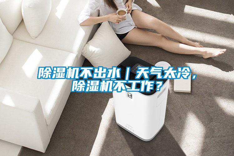 除濕機不出水｜天氣太冷，除濕機不工作？
