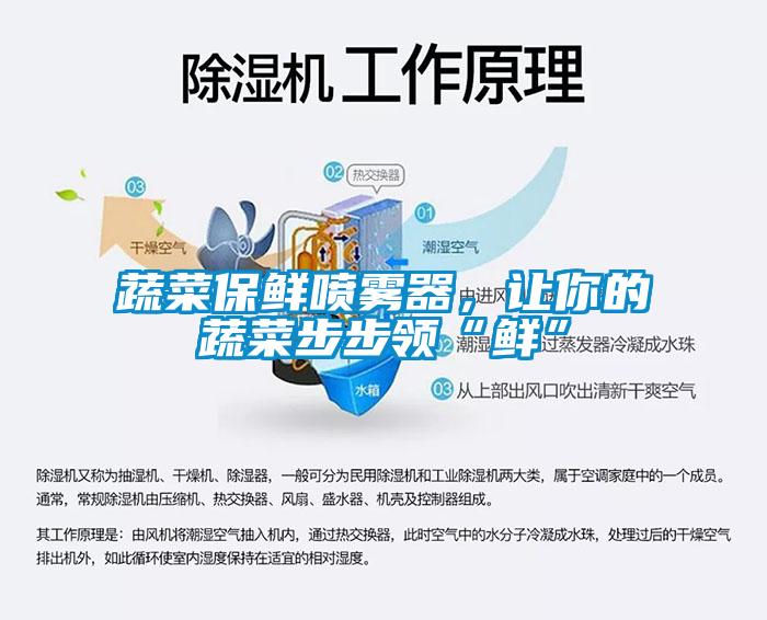 蔬菜保鮮噴霧器，讓你的蔬菜步步領“鮮”