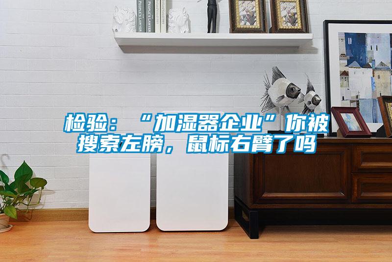 檢驗(yàn)：“加濕器企業(yè)”你被搜索左膀，鼠標(biāo)右臂了嗎