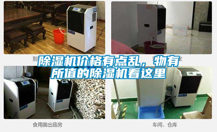 除濕機(jī)價(jià)格有點(diǎn)亂，物有所值的除濕機(jī)看這里