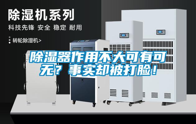 除濕器作用不大可有可無？事實(shí)卻被打臉！