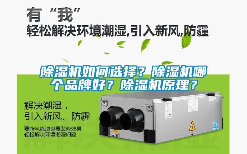 除濕機如何選擇？除濕機哪個品牌好？除濕機原理？
