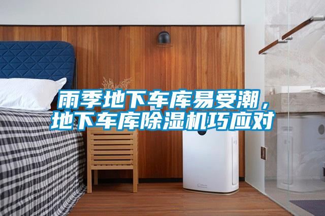 雨季地下車庫(kù)易受潮，地下車庫(kù)除濕機(jī)巧應(yīng)對(duì)