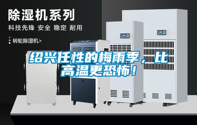紹興任性的梅雨季，比高溫更恐怖！