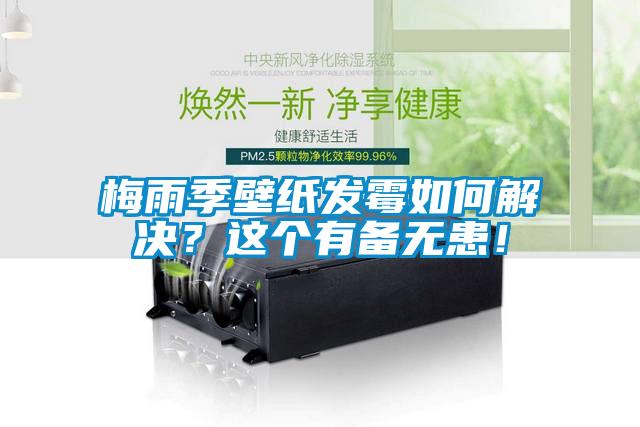 梅雨季壁紙發(fā)霉如何解決？這個有備無患！