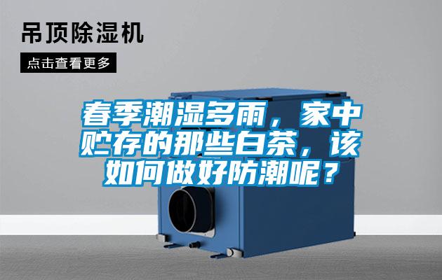 春季潮濕多雨，家中貯存的那些白茶，該如何做好防潮呢？