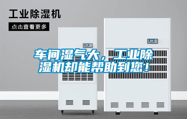 車(chē)間濕氣大，工業(yè)除濕機(jī)卻能幫助到您！