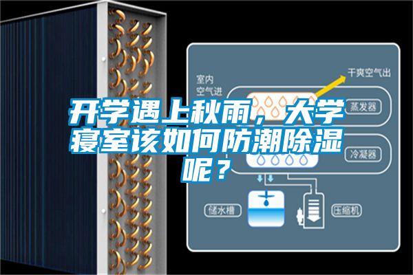 開學遇上秋雨，大學寢室該如何防潮除濕呢？