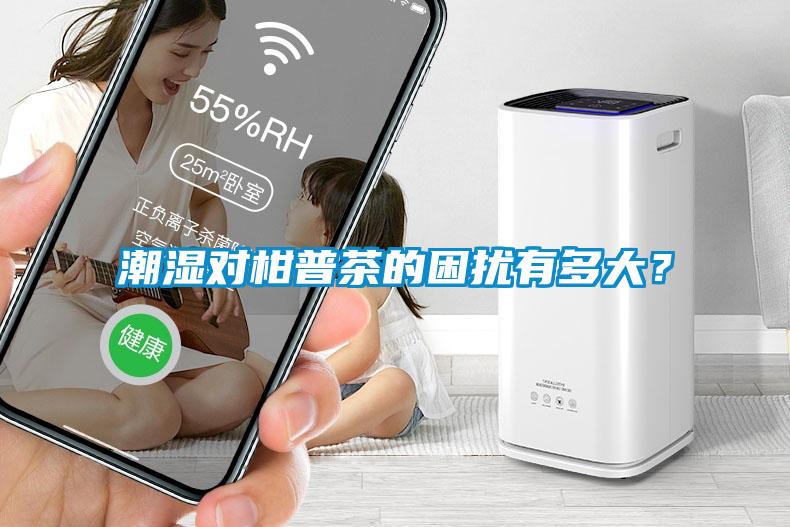 潮濕對(duì)柑普茶的困擾有多大？