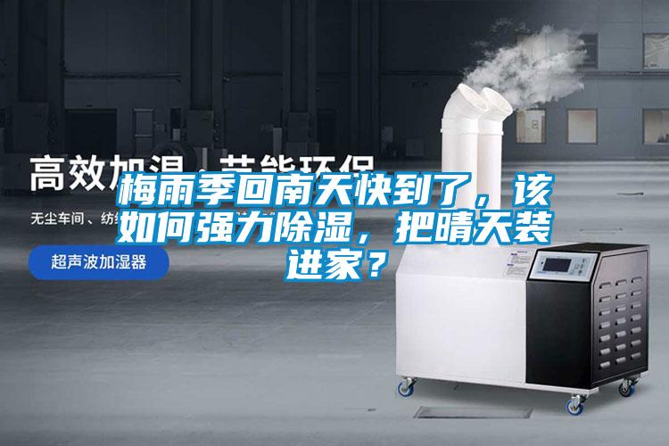梅雨季回南天快到了，該如何強力除濕，把晴天裝進家？