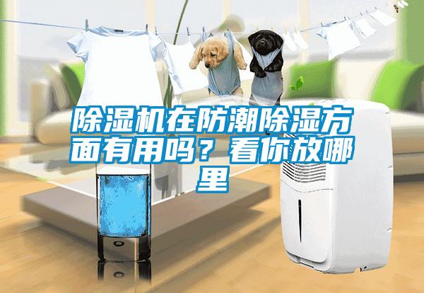 除濕機在防潮除濕方面有用嗎？看你放哪里