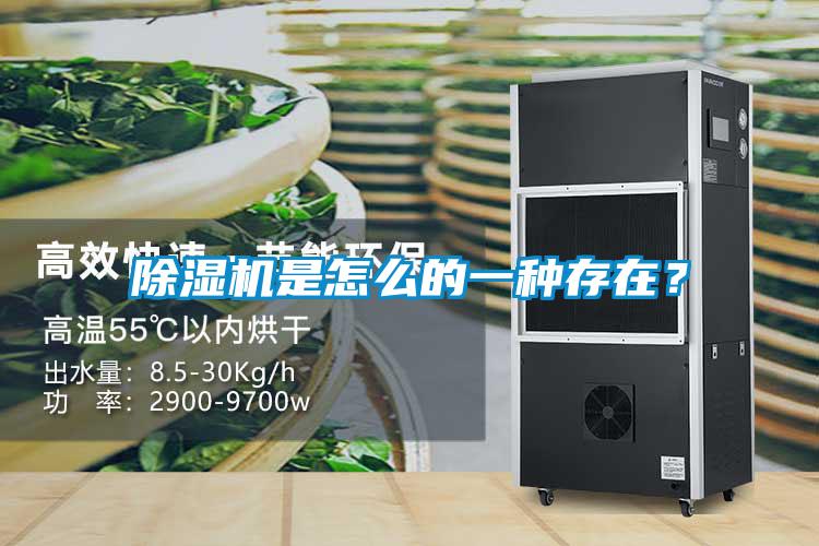 除濕機(jī)是怎么的一種存在？