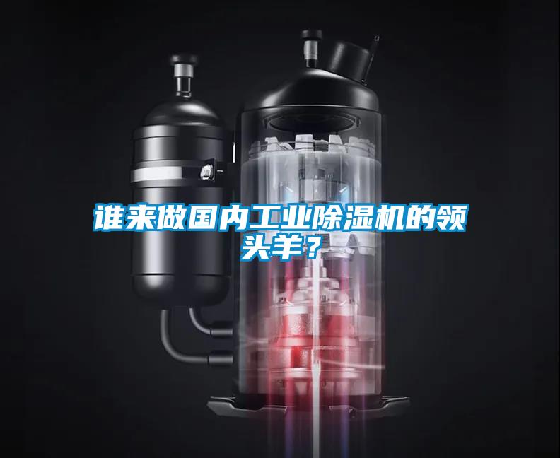誰來做國內(nèi)工業(yè)除濕機(jī)的領(lǐng)頭羊？