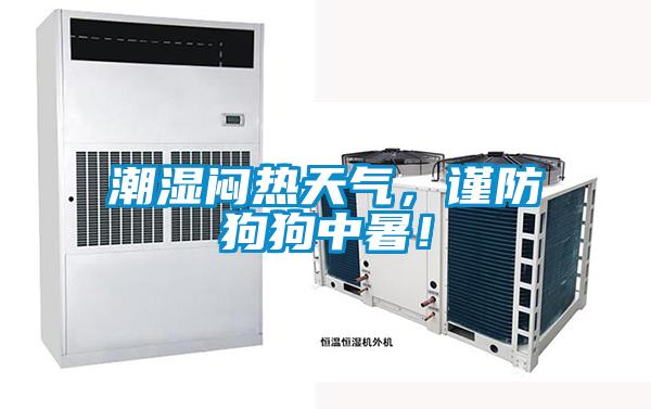 潮濕悶熱天氣，謹(jǐn)防狗狗中暑！
