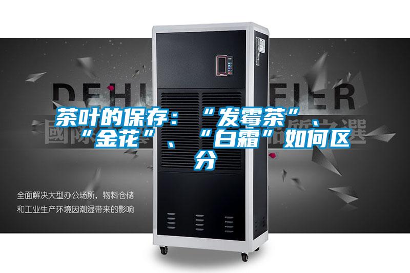 茶葉的保存：“發(fā)霉茶”、“金花”、“白霜”如何區(qū)分