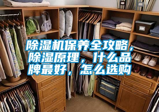 除濕機(jī)保養(yǎng)全攻略，除濕原理，什么品牌最好，怎么選購