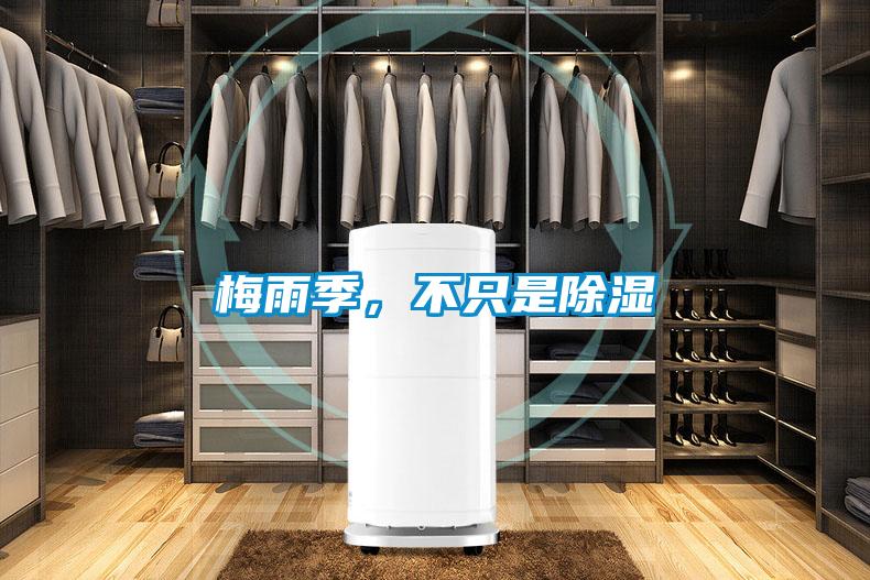梅雨季，不只是除濕