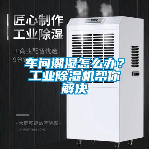 車間潮濕怎么辦？工業(yè)除濕機幫你解決