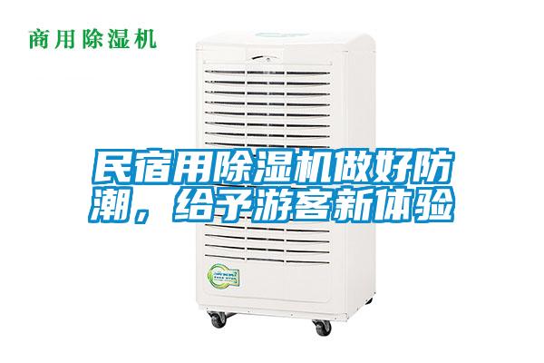 民宿用除濕機做好防潮，給予游客新體驗