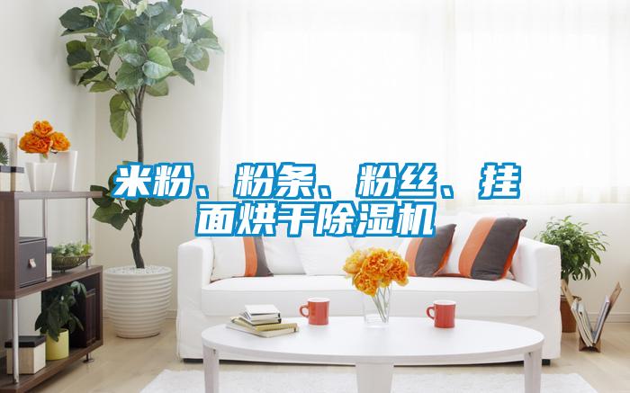 米粉、粉條、粉絲、掛面烘干除濕機