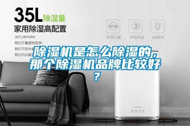 除濕機是怎么除濕的，那個除濕機品牌比較好？