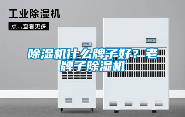 除濕機(jī)什么牌子好？老牌子除濕機(jī)