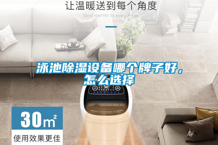 泳池除濕設(shè)備哪個(gè)牌子好，怎么選擇
