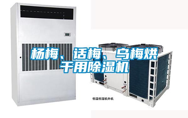 楊梅、話梅、烏梅烘干用除濕機(jī)