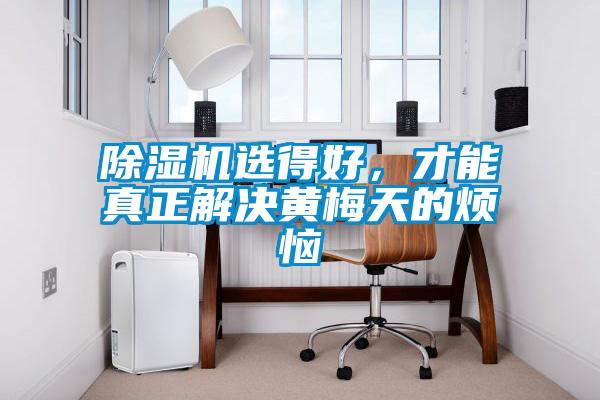 除濕機(jī)選得好，才能真正解決黃梅天的煩惱