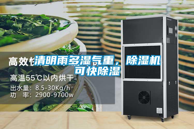 清明雨多濕氣重，除濕機(jī)可快除濕